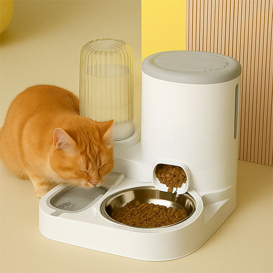 distributeur de croquettes pour chat gourmicat bol rempli