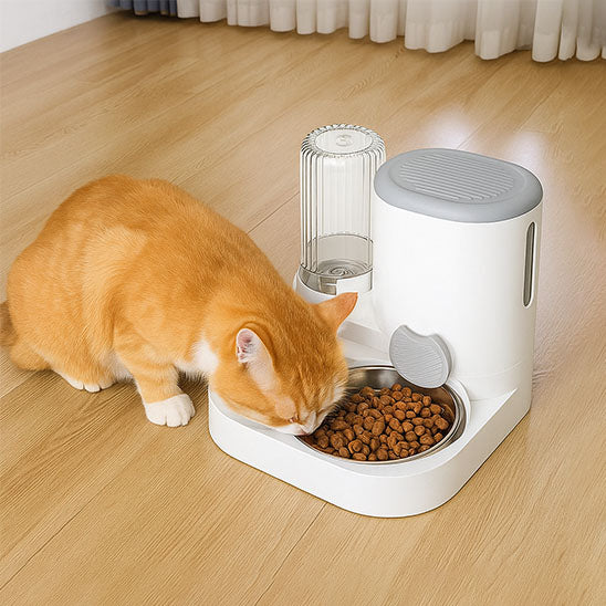 distributeur de croquettes pour chat gourmicat repas