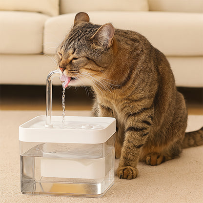 fontaine a eau chat fontinelle chat tigre profil