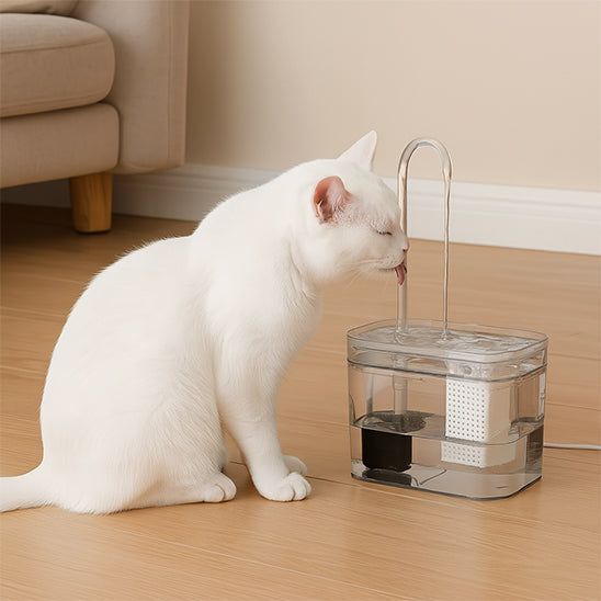 fontaine a eau chat fontinelle chat tigre zoom