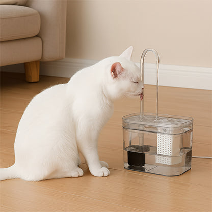 fontaine a eau chat fontinelle chat tigre zoom