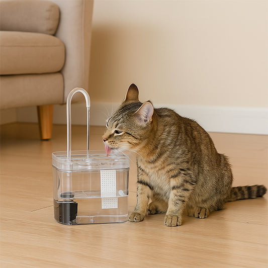 fontaine a eau chat fontinelle gros plan jet eau