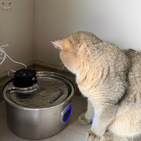 fontaine-a-eau-pour-chat-aquapet-ouaw