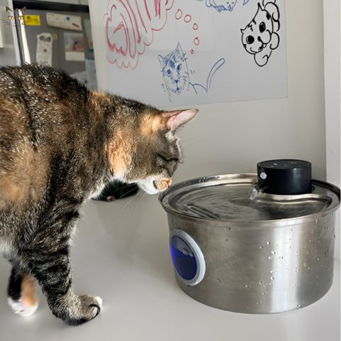fontaine-a-eau-pour-chat-aquapet-renifle