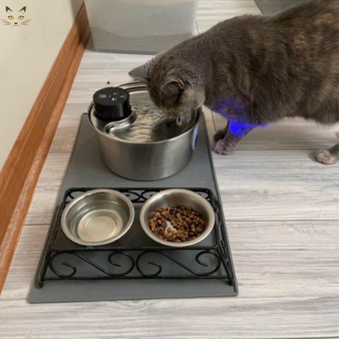 fontaine-a-eau-pour-chat-aquapet-seule