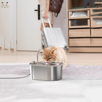 Fontaine à eau pour chat | Hydropaws™