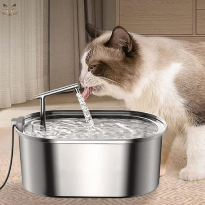 Fontaine à eau pour chat | Hydropaws™