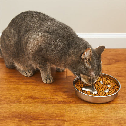 gamelle anti-glouton chat croqbol inox design