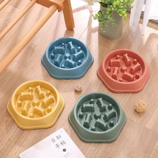 Gamelle anti glouton chat | Croqino™ - Miss - Tigri