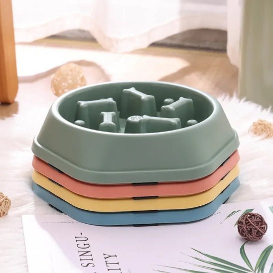 Gamelle anti glouton chat | Croqino™ - Miss - Tigri