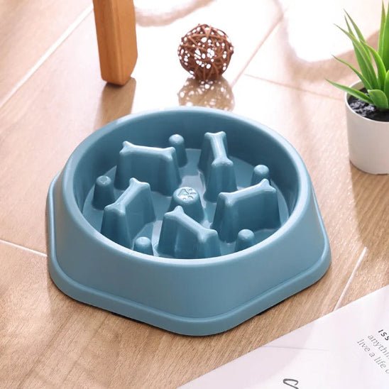 Gamelle anti glouton chat | Croqino™ - Miss - Tigri
