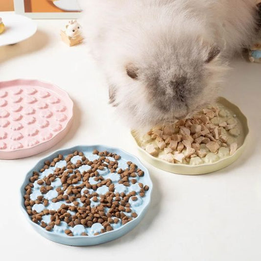 Gamelle anti - glouton chat | Gourminou™ - Miss - Tigri