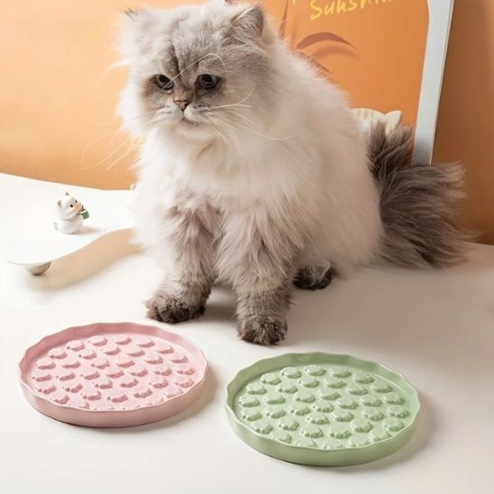 Gamelle anti - glouton chat | Gourminou™ - Miss - Tigri