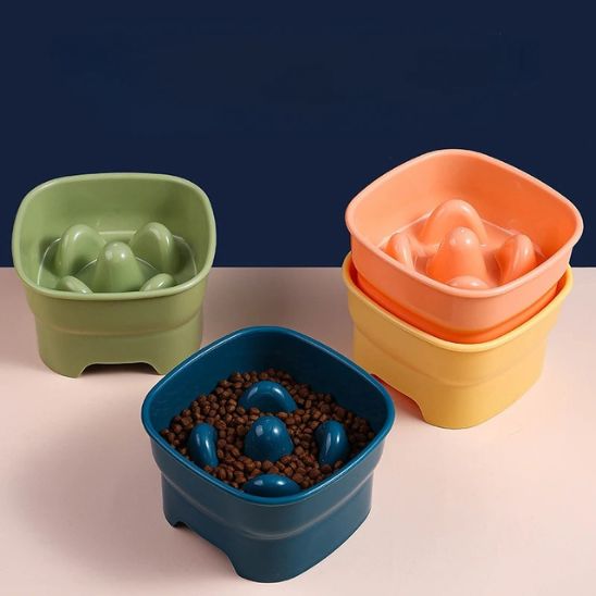 Gamelle anti glouton chat | Masticha™ - Miss - Tigri