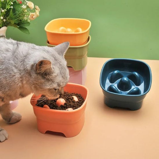 Gamelle anti glouton chat | Masticha™ - Miss - Tigri