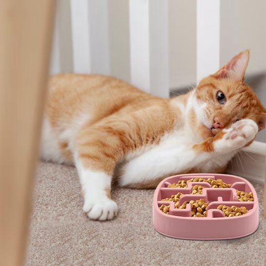 Gamelle anti - glouton chat | Mastigou™ - Miss - Tigri