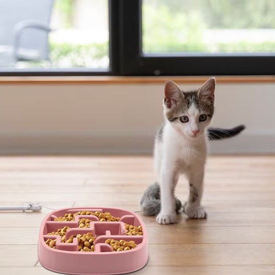 Gamelle anti - glouton chat | Mastigou™ - Miss - Tigri