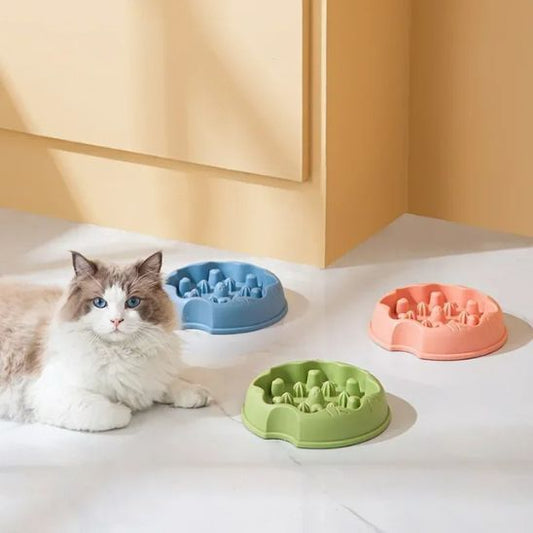 gamelle anti glouton chat raminou triple coloris chat