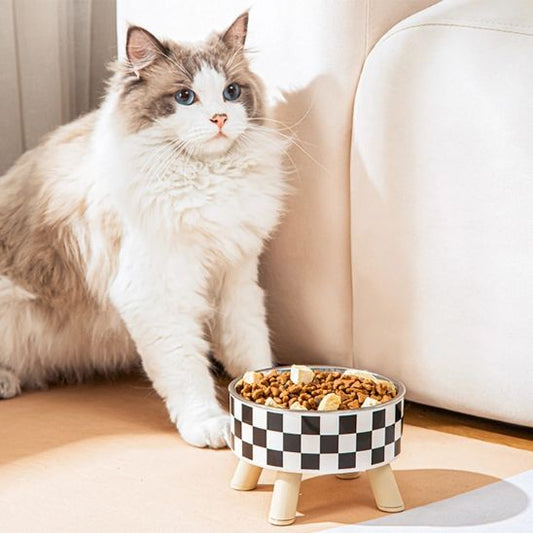 Gamelle chat | Félito™ - Miss - Tigri