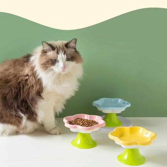 Gamelle chat | Miaflor™ - Miss - Tigri