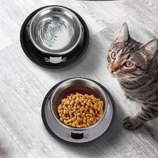 gamelle chat minibol noir eau fraiche
