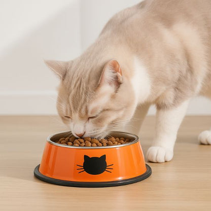 gamelle chat minibol orange chat creme