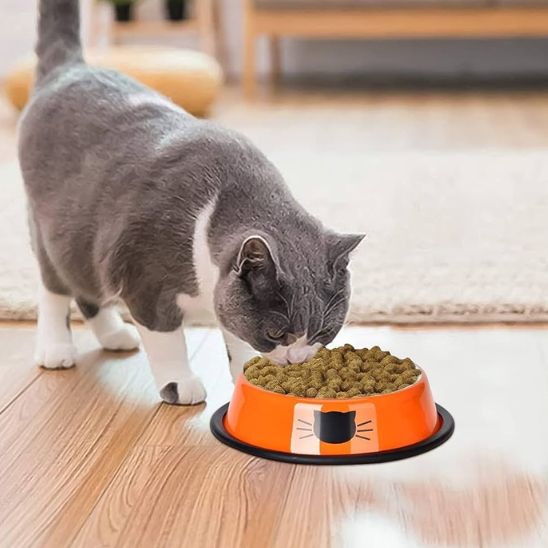 gamelle chat minibol orange chat gourmand