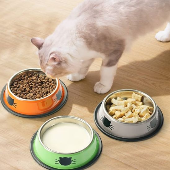 gamelle chat minibol trio croquettes lait des