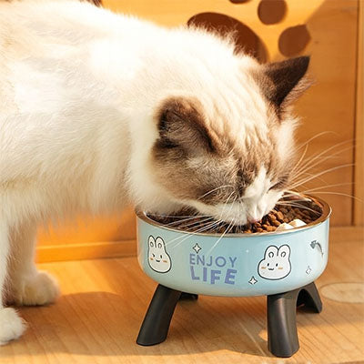 gamelle chat surelevee ergobol profil bleu