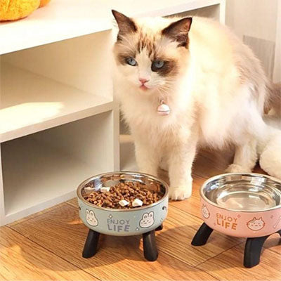 gamelle chat surelevee ergobol vue dessus