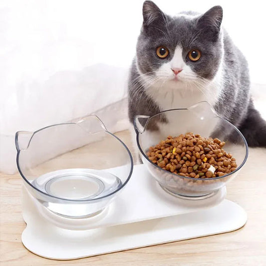 gamelle pour chat twiniCat chat gris regard croquettes
