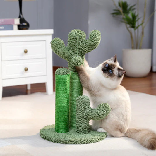 griffoir chat cactichat chat en action