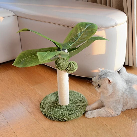 Griffoir chat | Cocono™ - Miss - Tigri