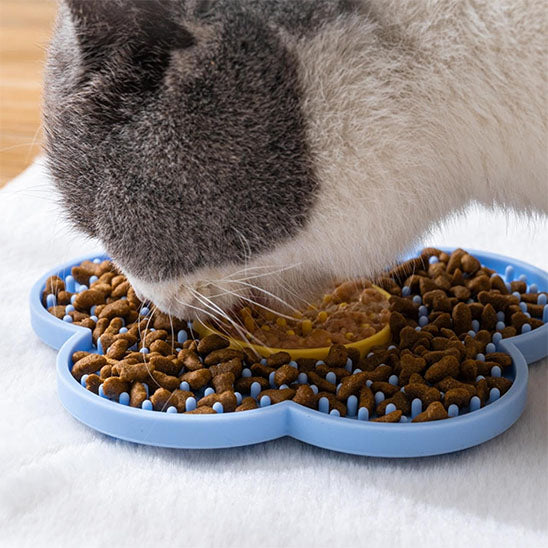 gros plan chat tapis lechage gourmifleur