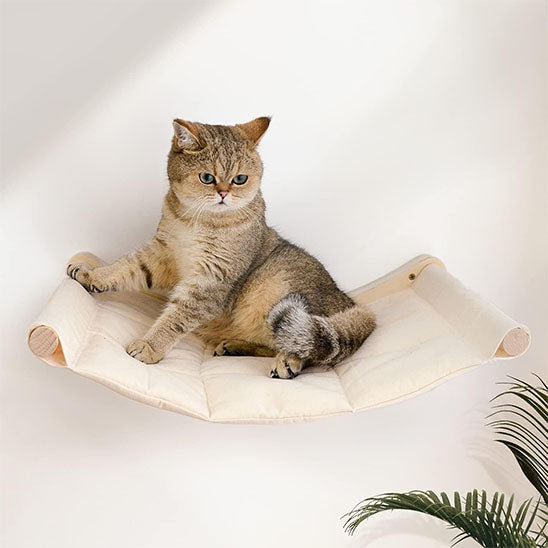 hamac pour chat planchat yeux verts