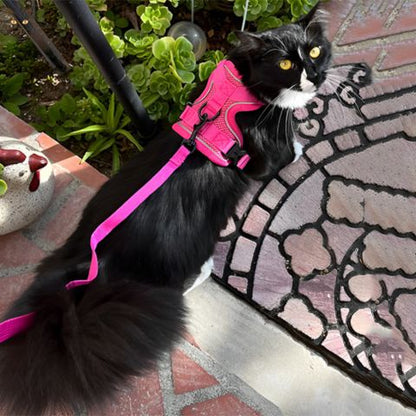 harnais-pour-chat-kittyglow-rose
