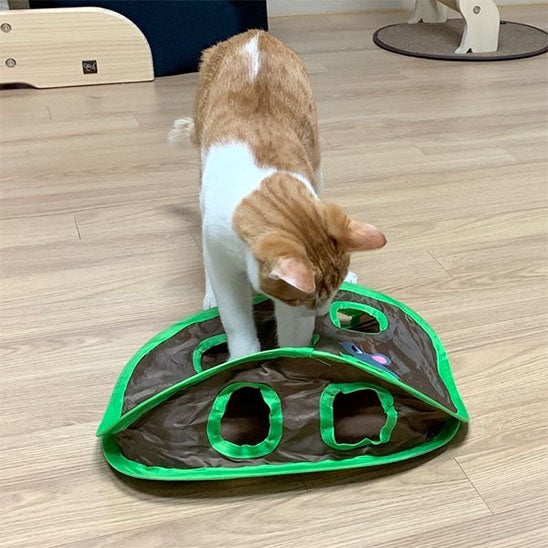 jouet pliable souris verte jouet pour chat fouinou