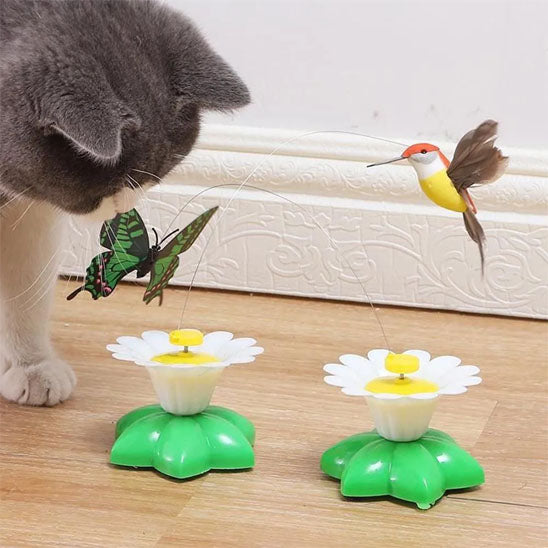 jouet pour chat fleuriseau chat curieux