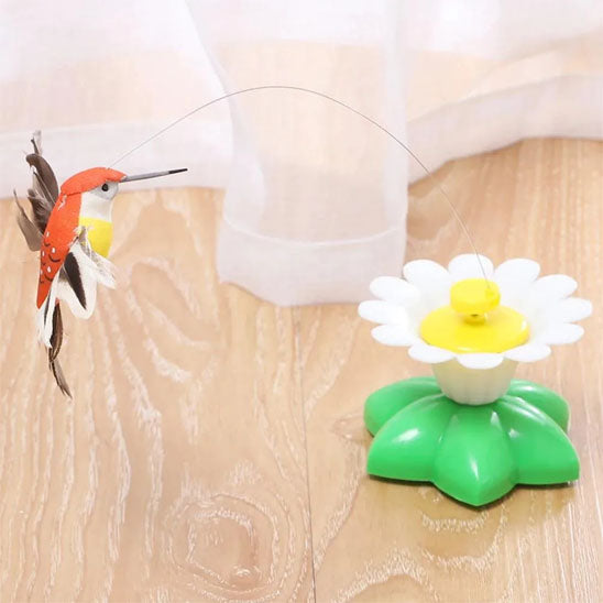 jouet pour chat fleuriseau oiseau en action