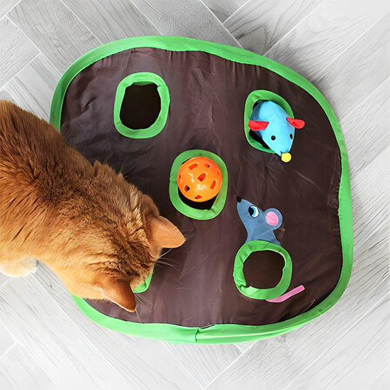 jouet pour chat fouinou jeu de chasse interieur