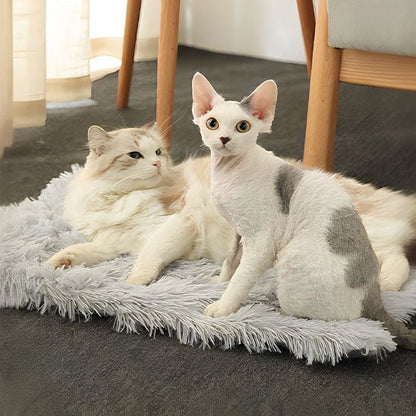 Lit pour chat | Pluffin™ - Miss - Tigri