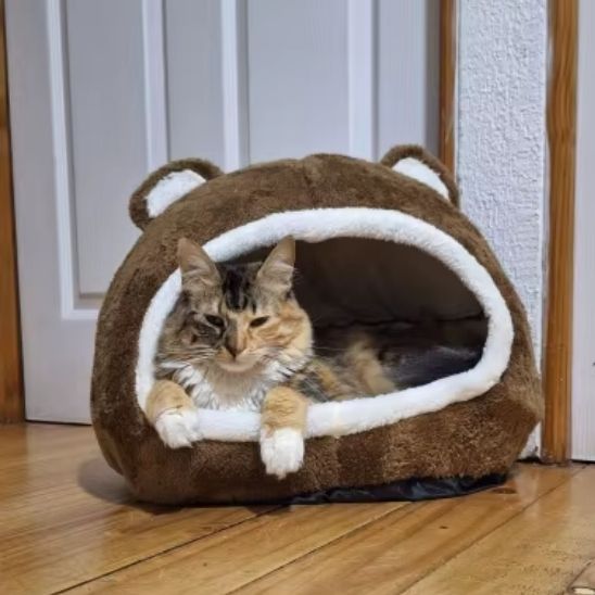 Niche à chat | Choupinou™ - Miss - Tigri