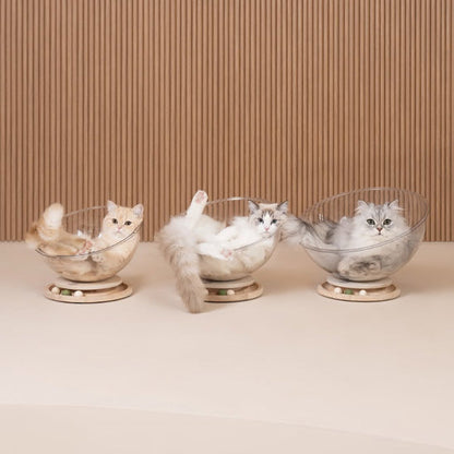 panier chat cosmocat variantes