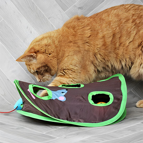 plaisir felin cache cache jouet pour chat fouinou
