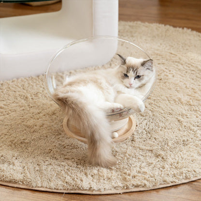 ragdoll allonge dans panier chat cosmocat