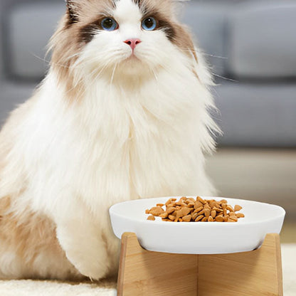 ragdoll devant gamelle anti glouton chat gluppy blanche