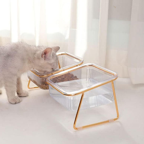 remplissage eau croquettes gamelle pour chat minigourmet