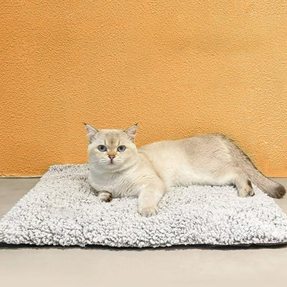 tapis chauffant chat chauffinou antiderapant et chatons