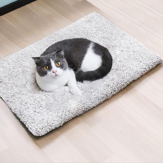 tapis chauffant chat chauffinou chat gris et blanc