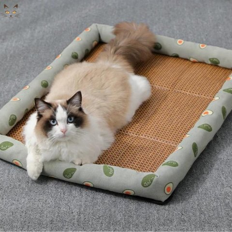 Tapis rafraichissant chat | FéliFrais™ - Miss - Tigri